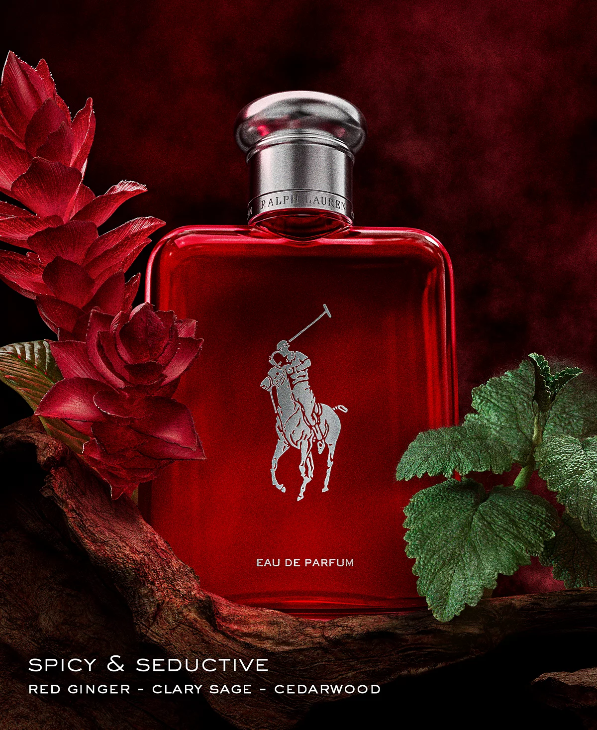 <div class="product-brand">Ralph Lauren</div>Ralph Lauren Polo Red Eau de Parfum - Image 4