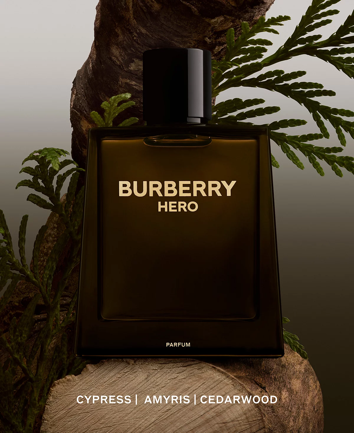 <div class="product-brand">Burberry</div>Burberry Hero Parfum - Image 2