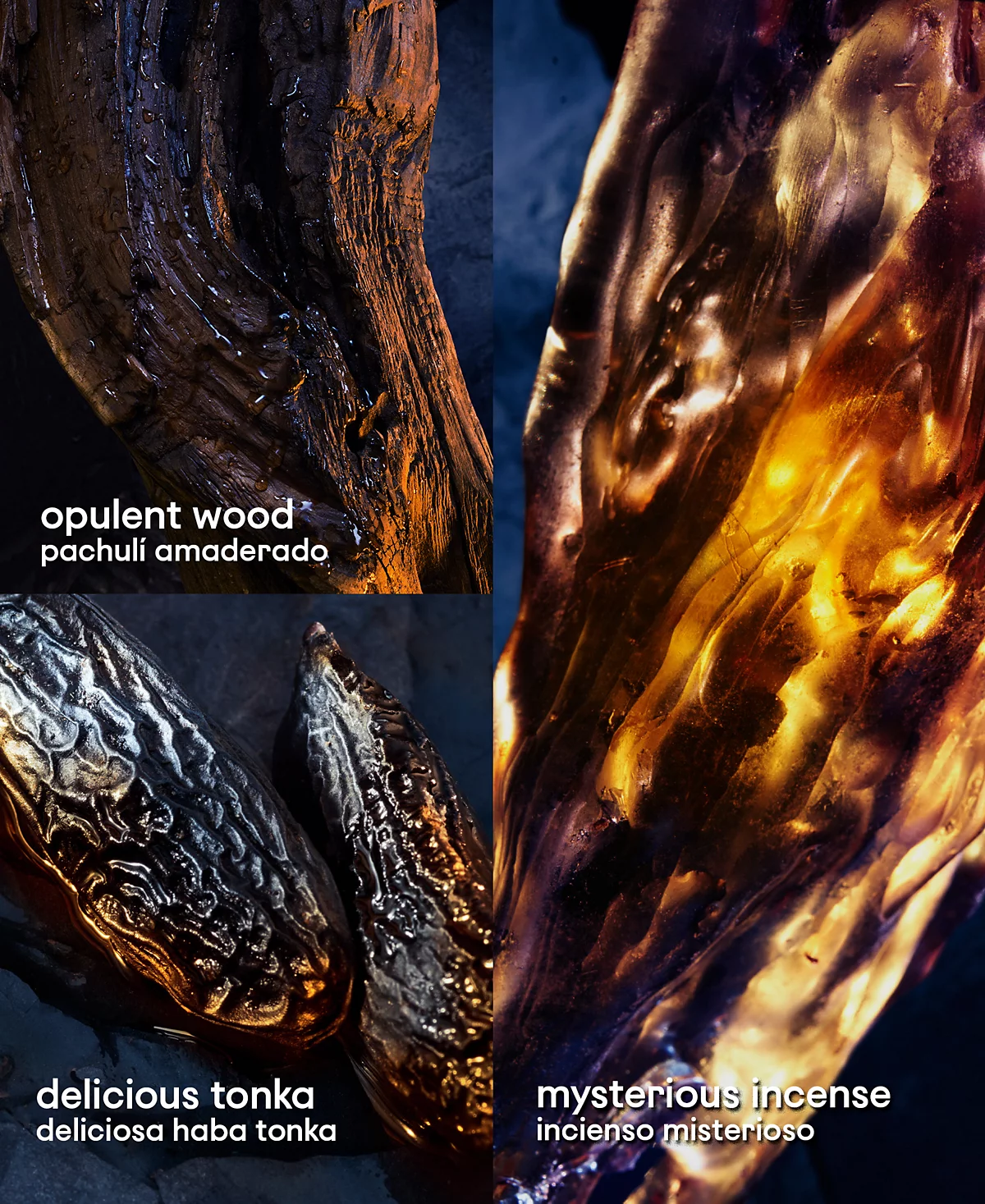 <div class="product-brand">Paco rabanne</div>Rabanne Invictus Victory Elixir Eau de Parfum - Image 4