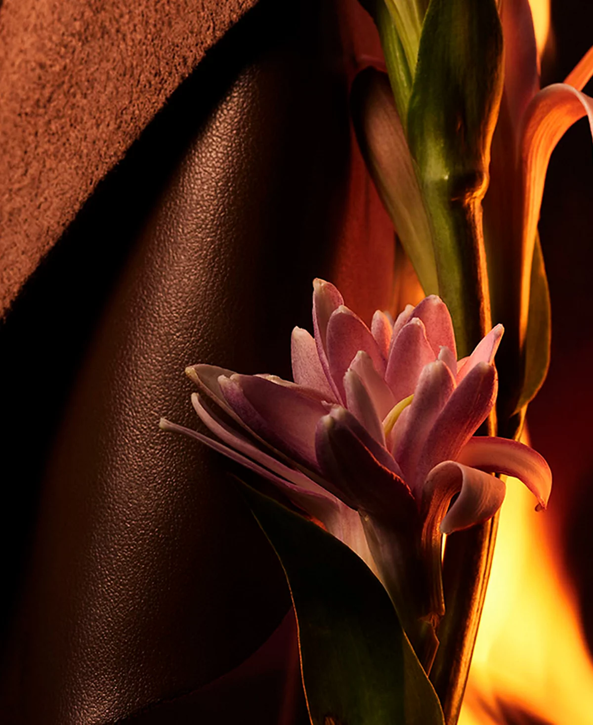 <div class="product-brand">BVLGARI</div>BVLGARI Man In Black Eau de Parfum - Image 3