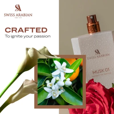 <div class="product-brand">Swiss Arabian</div>Swiss Arabian Musk 01 Extrait De Parfum - Image 3