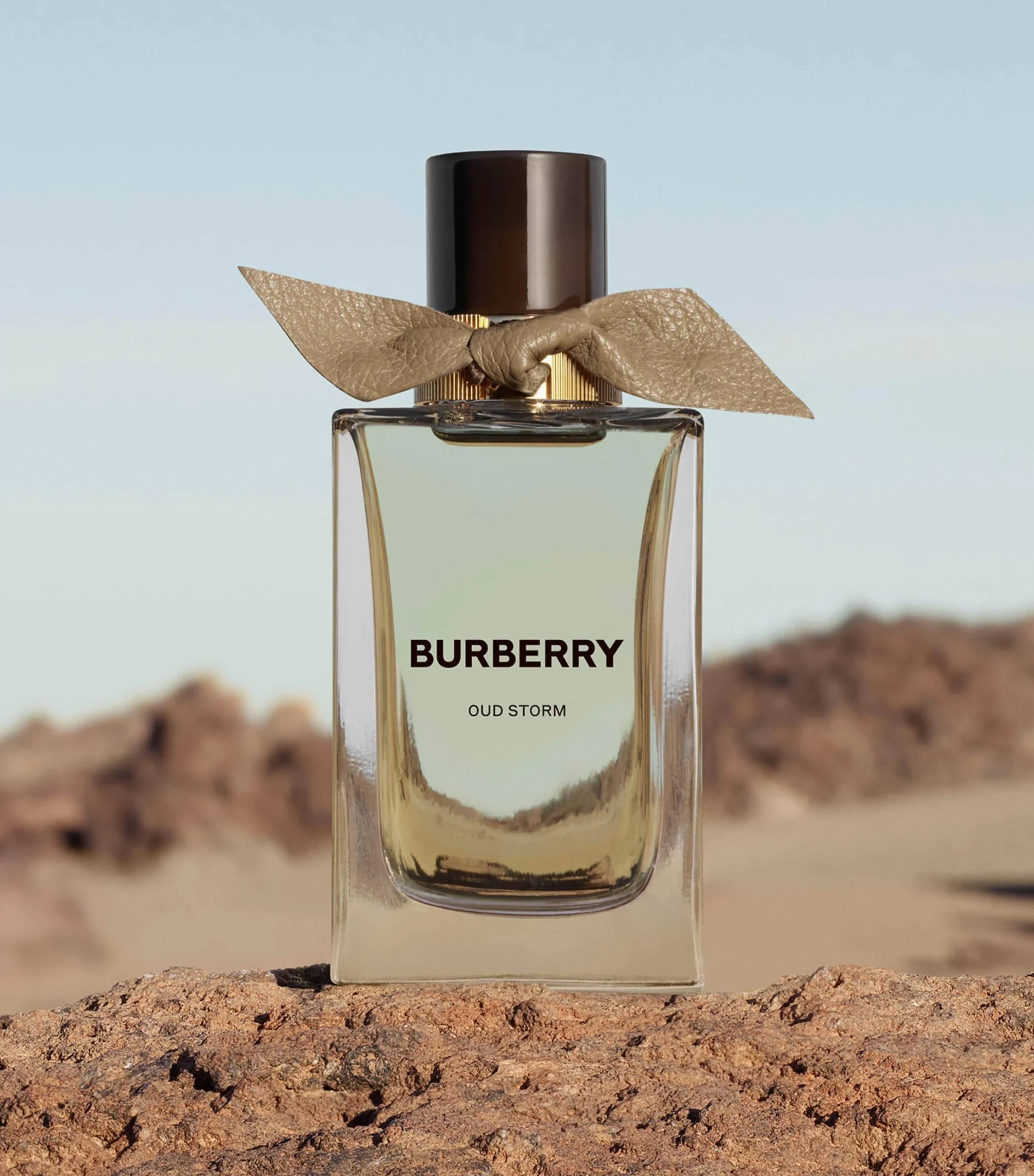 <div class="product-brand">Burberry</div>Burberry Signatures Extreme Botanicals Oud Storm Eau de Parfum - Image 2