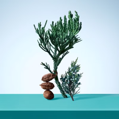 <div class="product-brand">Tiffany</div>Tiffany & Love Eau de Toilette for Him - Image 3