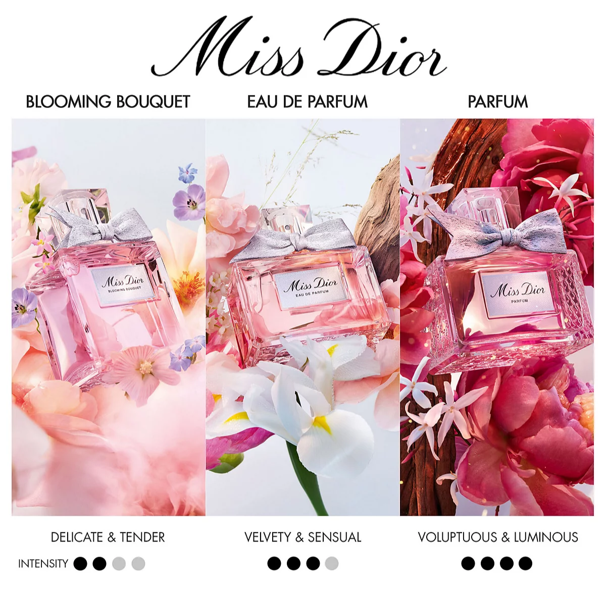 <div class="product-brand">DIOR</div>Miss Dior Blooming Bouquet - Image 6