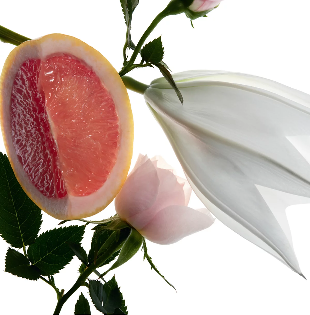 <div class="product-brand">YSL</div>Yves Saint Laurent Mon Paris Eau de Parfum couture - Image 2