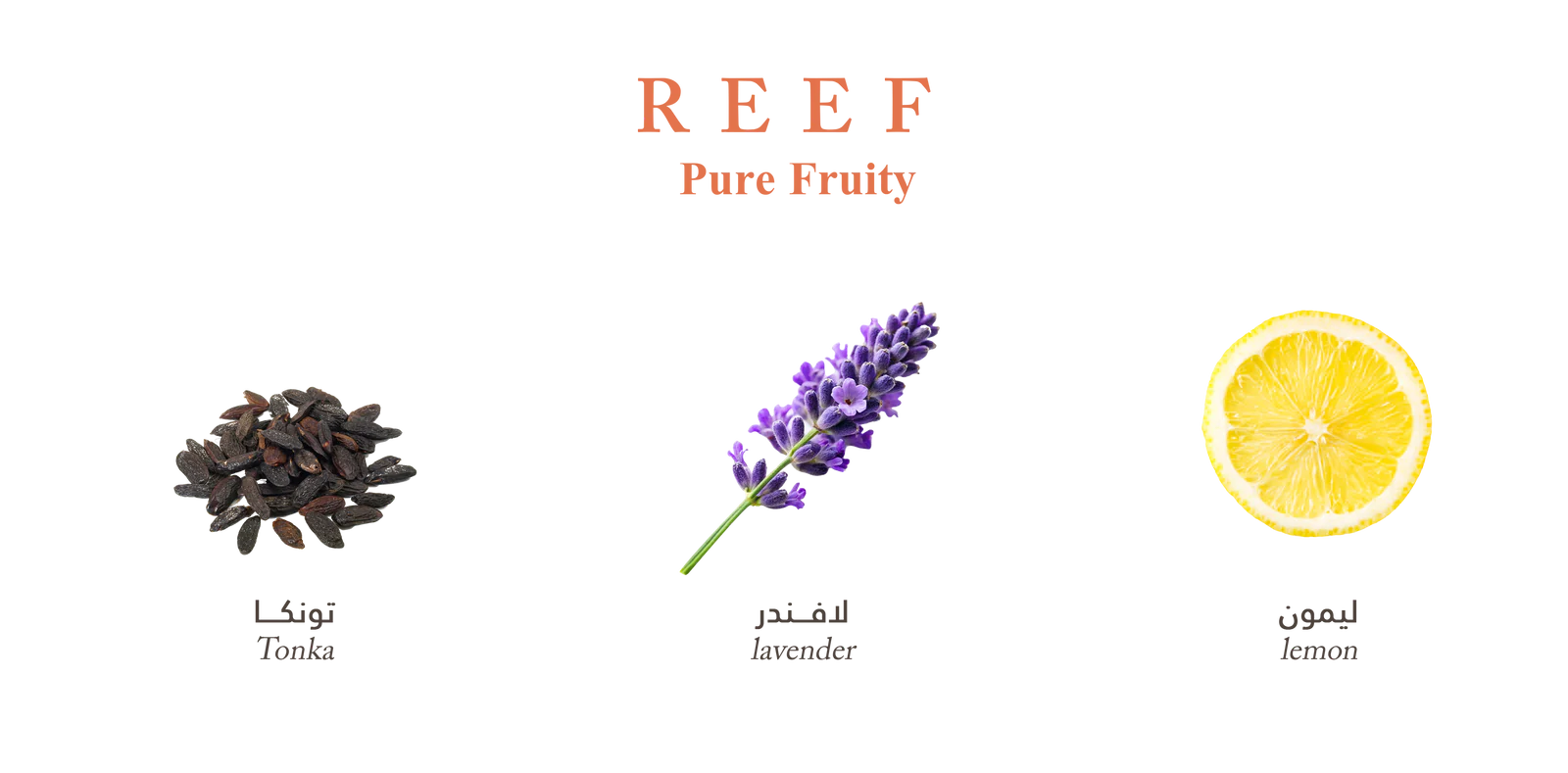 <div class="product-brand">Reef</div>Reef Pure Fruity - Image 3