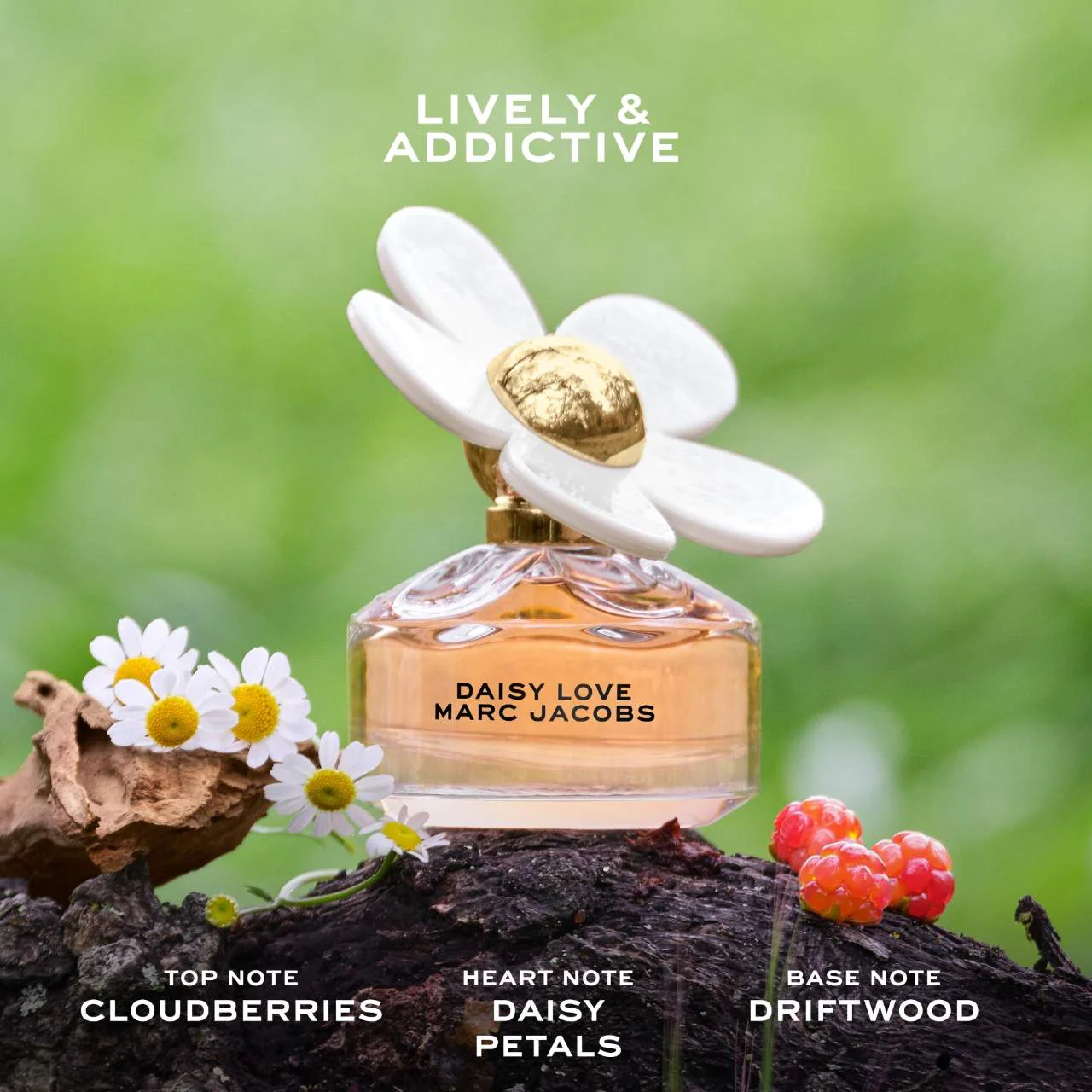 <div class="product-brand">Marc Jacobs</div>Marc Jacobs Daisy Love Eau De Toilette - Image 2