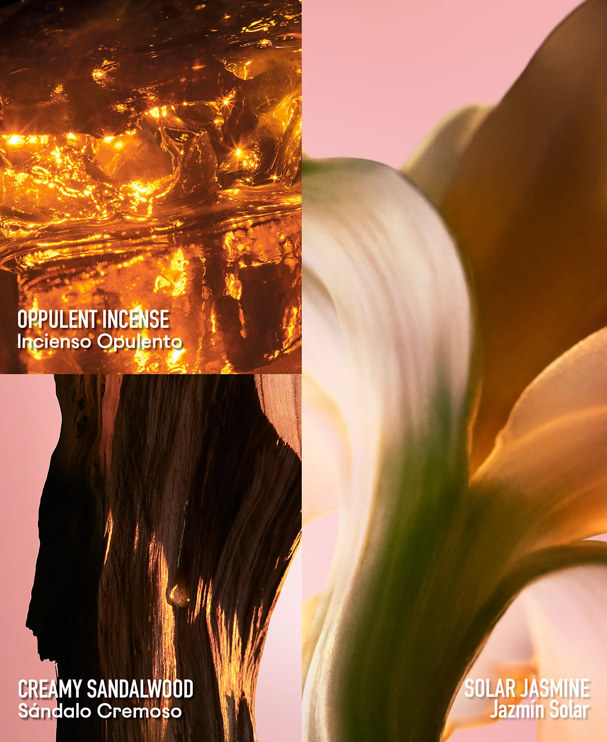 <div class="product-brand">Paco rabanne</div>Rabanne Fame Eau de Parfum Intense - Image 3