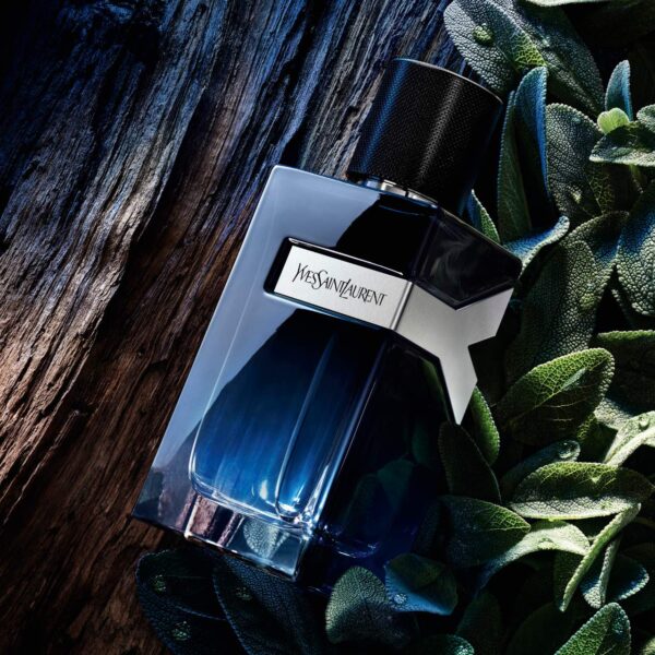<div class="product-brand">YSL</div>Yves Saint Laurent Y Eau de Parfum - Image 2
