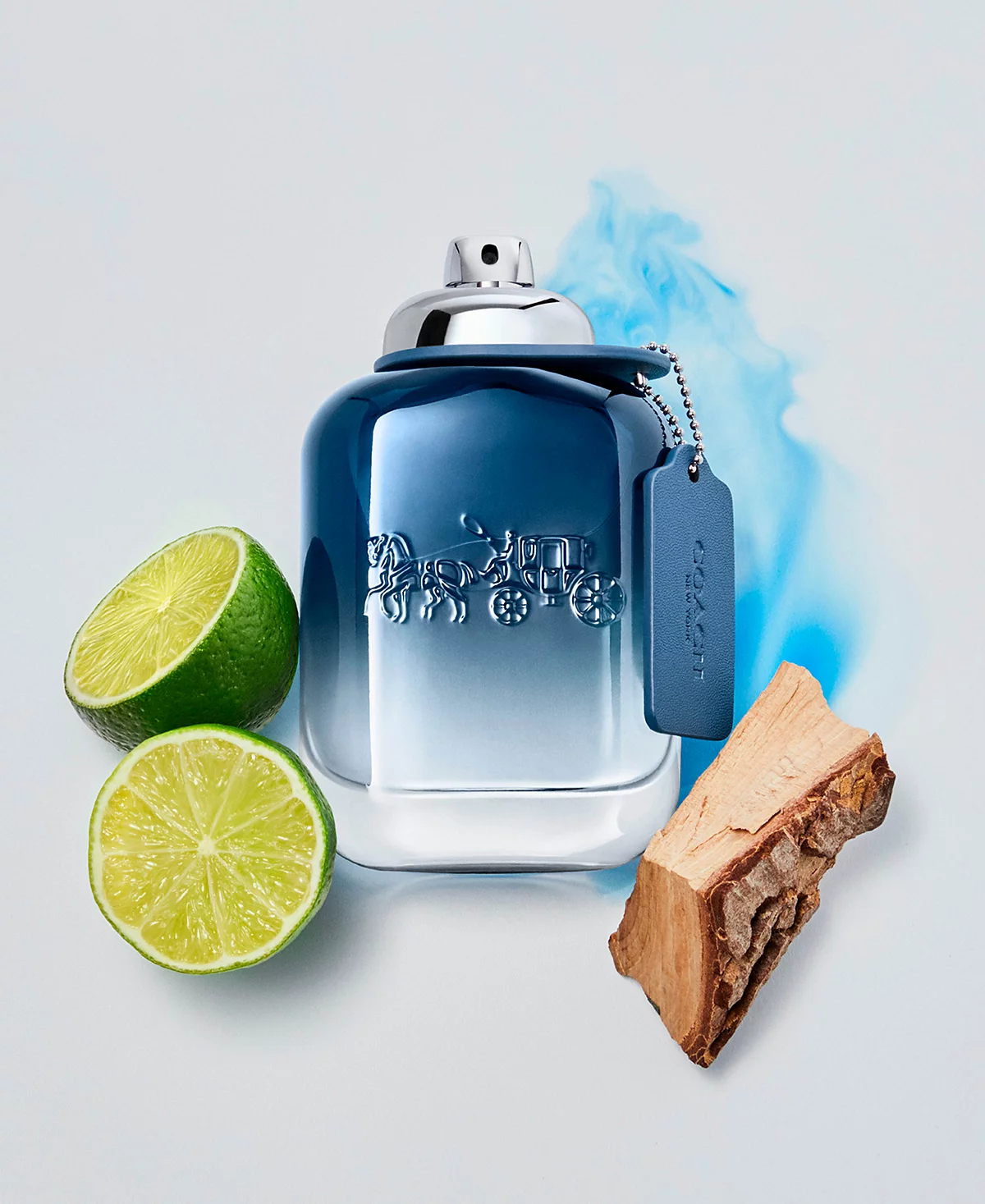 <div class="product-brand">Coach</div>Coach Man Blue Eau de Toilette - Image 2