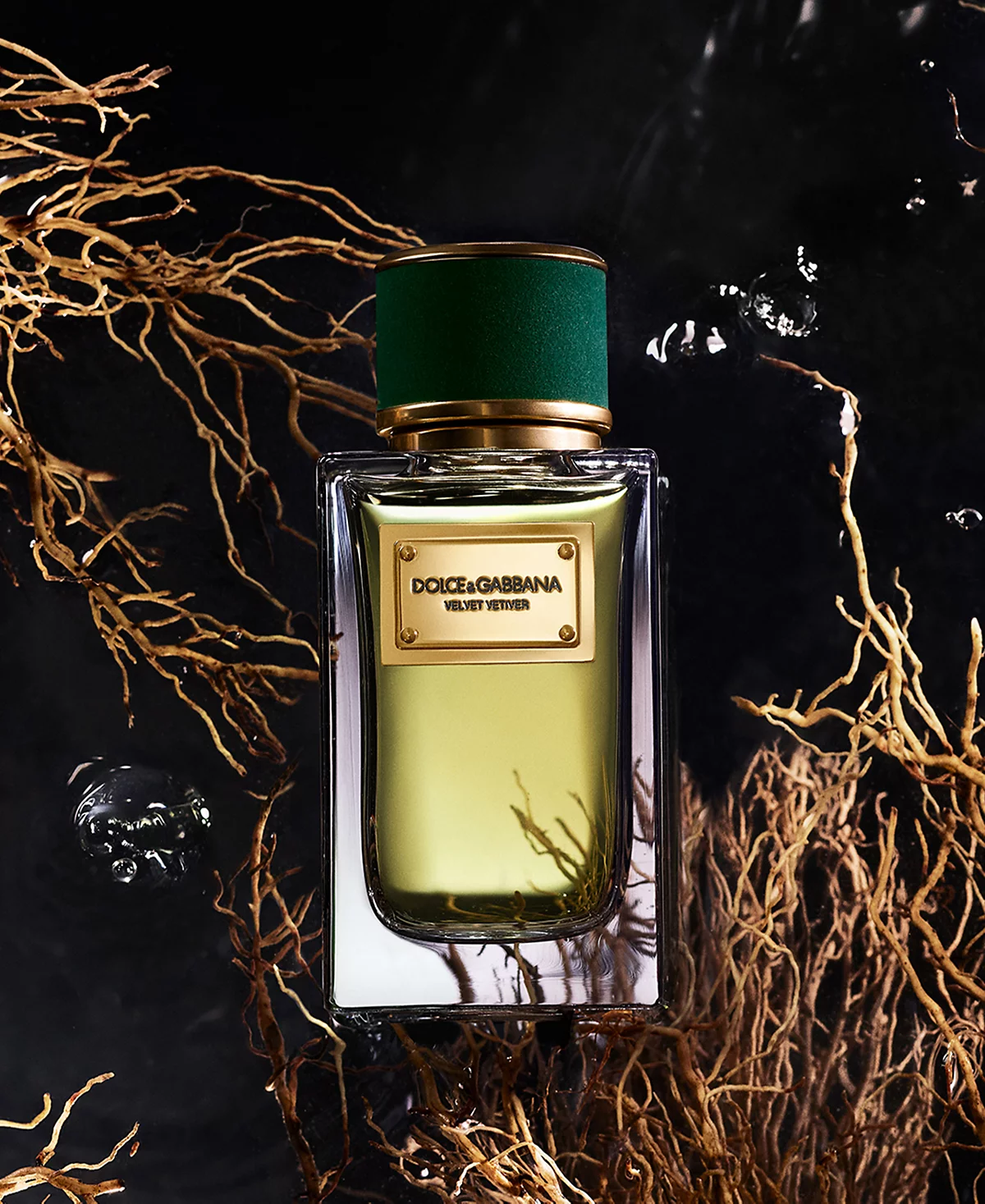 <div class="product-brand">DOLCE & GABBANA</div>Dolce & Gabbana Velvet Vetiver Eau de Parfum - Image 2