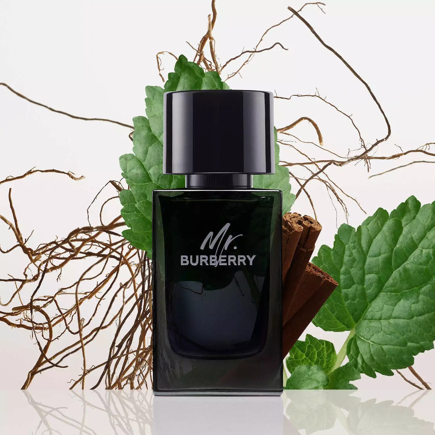 <div class="product-brand">Burberry</div>Mr Burberry Eau de Parfum - Image 2