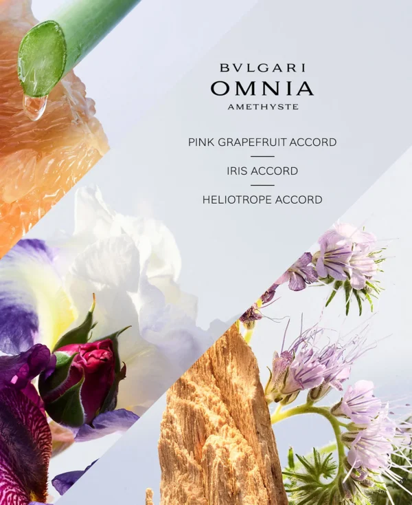 <div class="product-brand">BVLGARI</div>BVLGARI Omnia Amethyste Eau de Toilette - Image 3