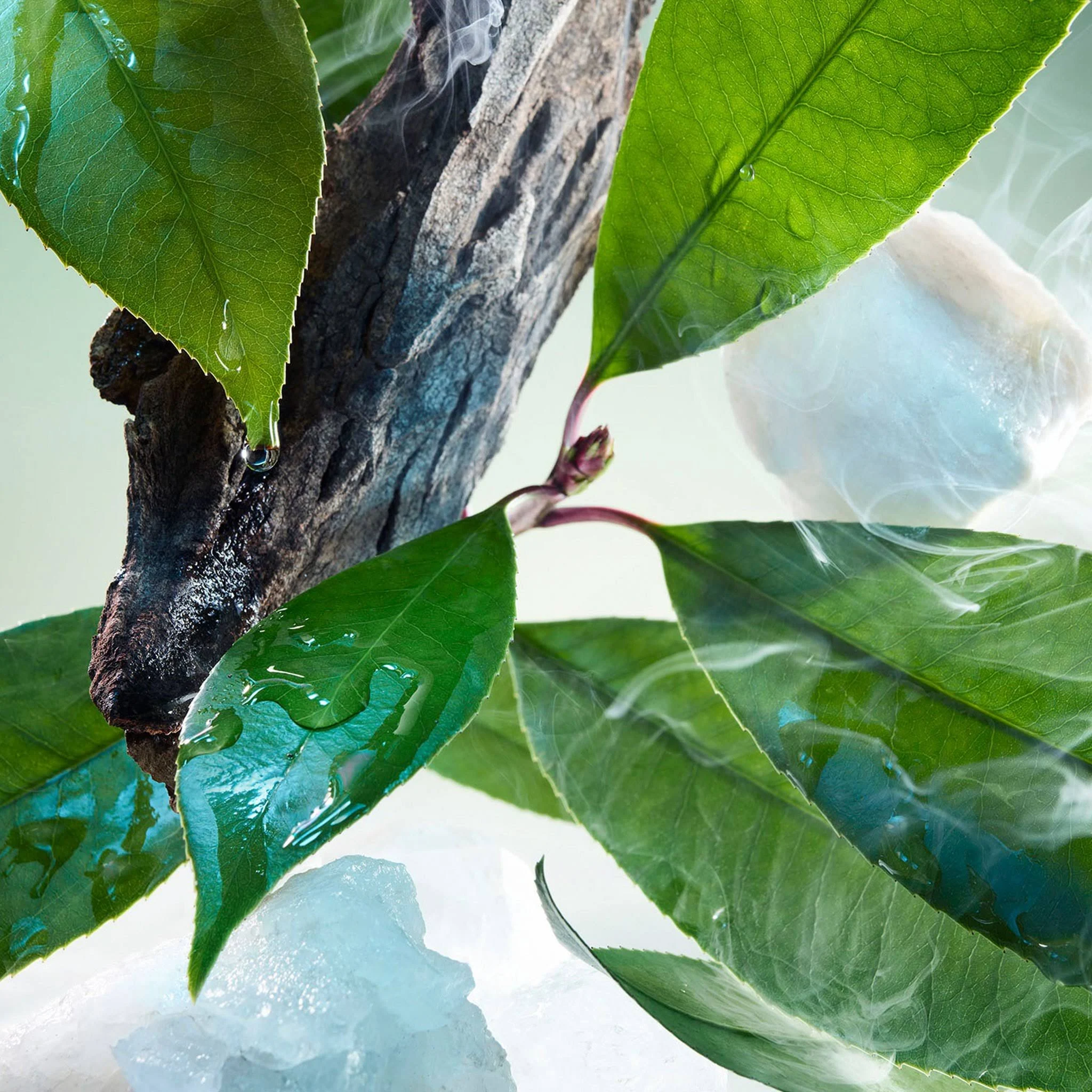 <div class="product-brand">BVLGARI</div>BVLGARI Pour Homme Eau de Parfum - Image 3