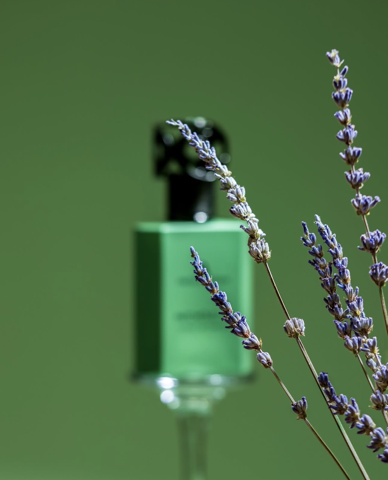 <div class="product-brand">Swiss Arabian</div>Swiss Arabian Patchouli 01 1 WEEK PRE ORDER - Image 4